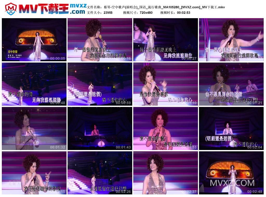 蔡琴-空中歌声(演唱会)_国语_流行歌曲_MA105280